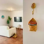 Big Spacious Casa Bamboo Relax, Pool And Parking *