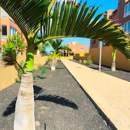 Lägenhet Casa Bamboo Corralejo, Relax, Piscina Y Parking Privado *