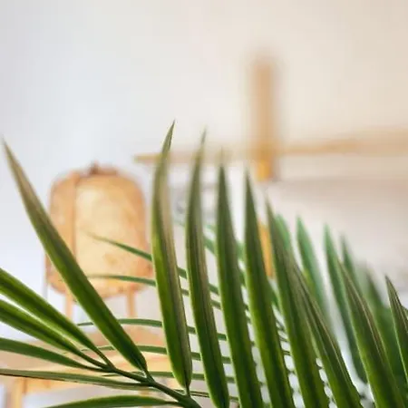 Apartment Big Spacious Casa Bamboo Relax, Pool And Parking *