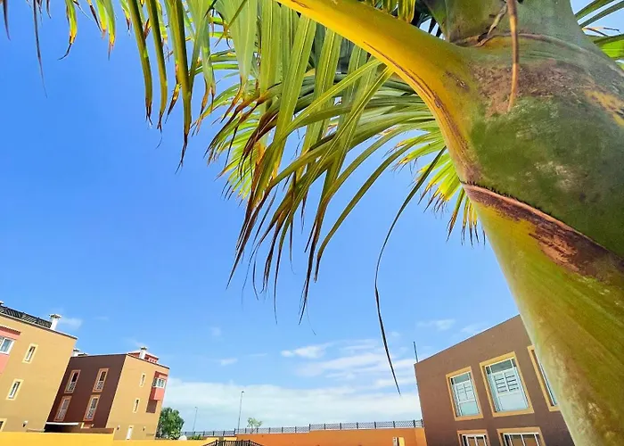 Big Spacious Casa Bamboo Relax, Pool And Parking *