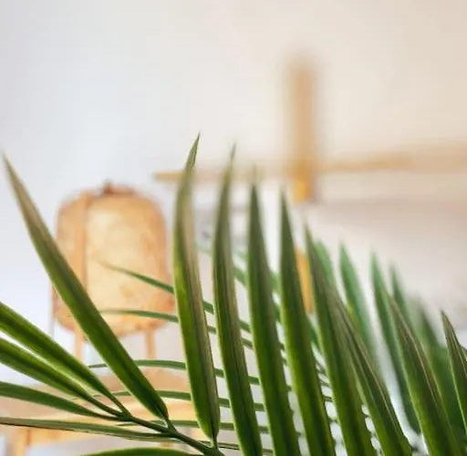 דירה Big Spacious Casa Bamboo Relax, Pool And Parking *